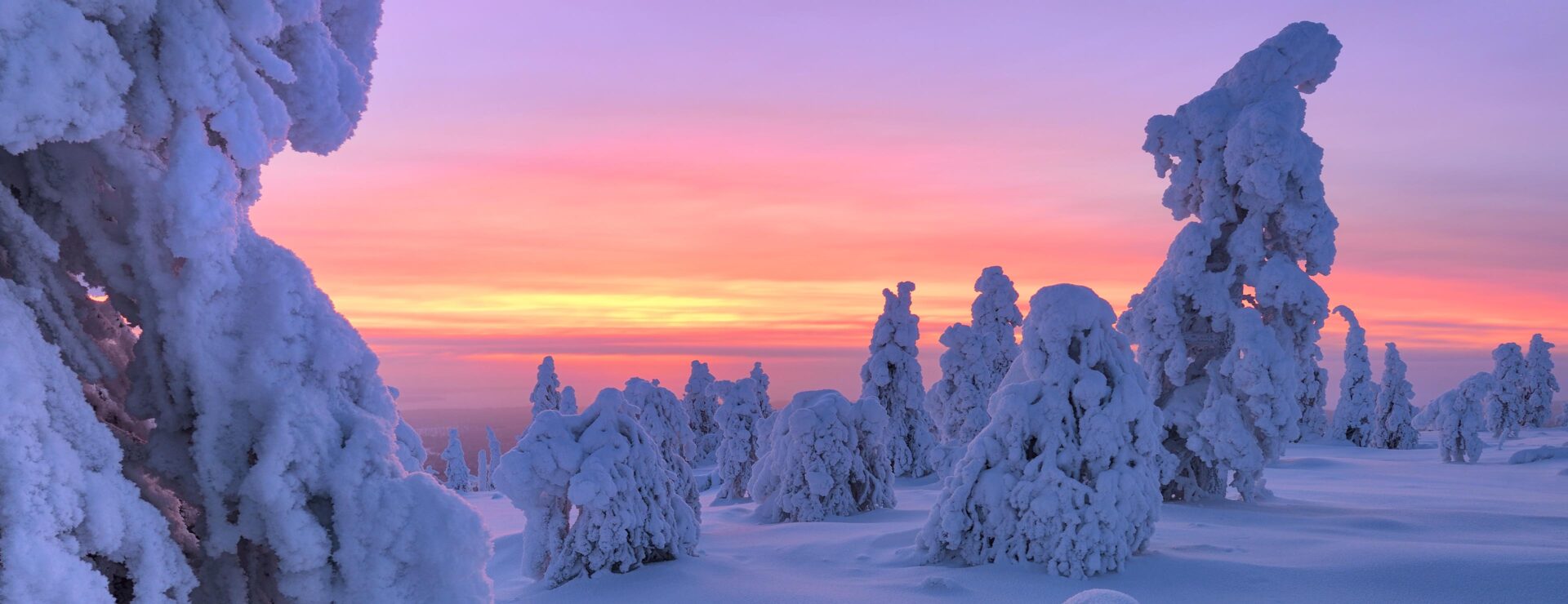 Finland Riisitunturi National Park