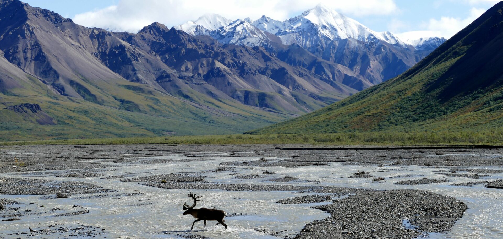 Alaska en Yukon Explorer - Denali National Park - Joris Beugels