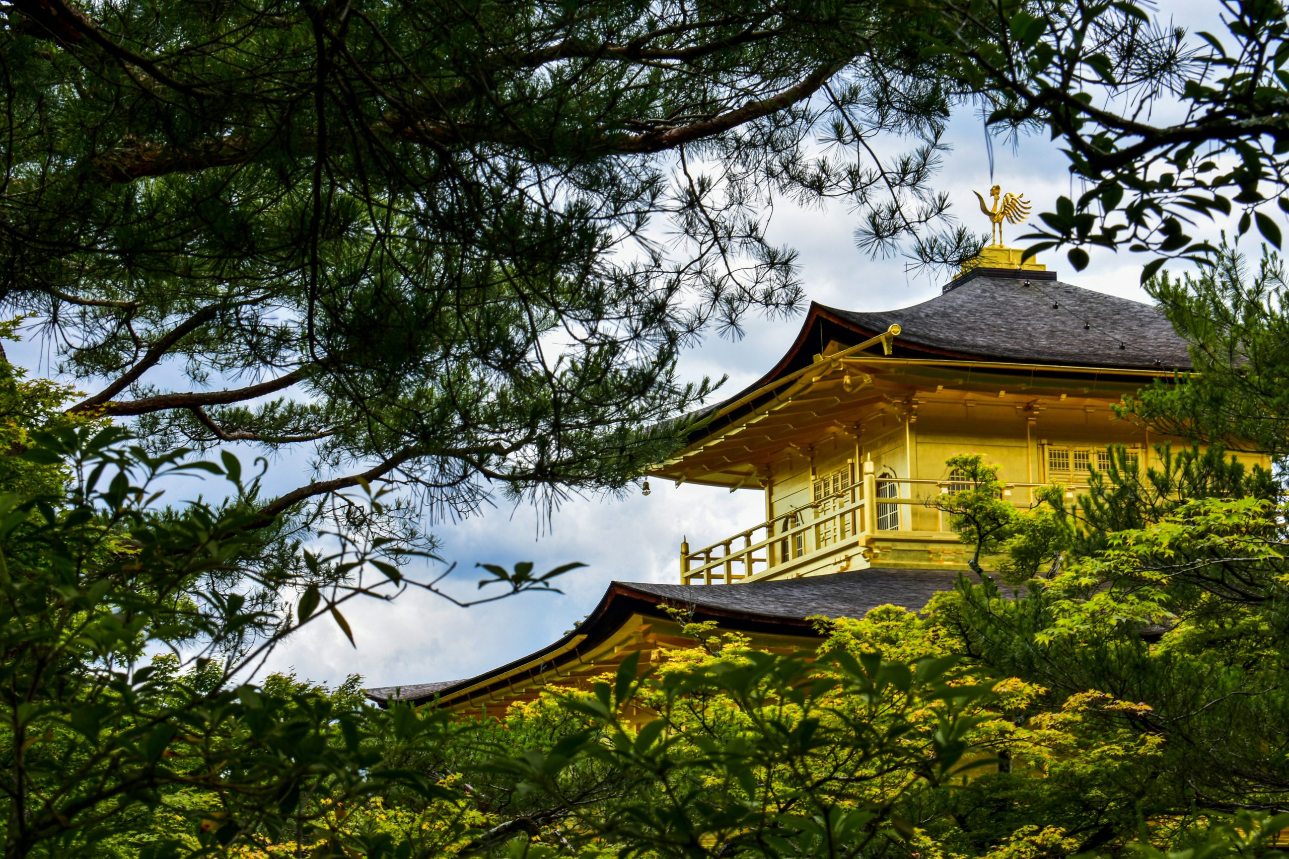 Kyoto Essential Japan