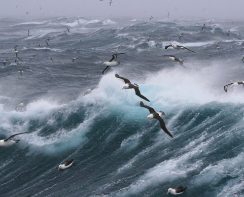 Ruige zee - Falklandeilanden