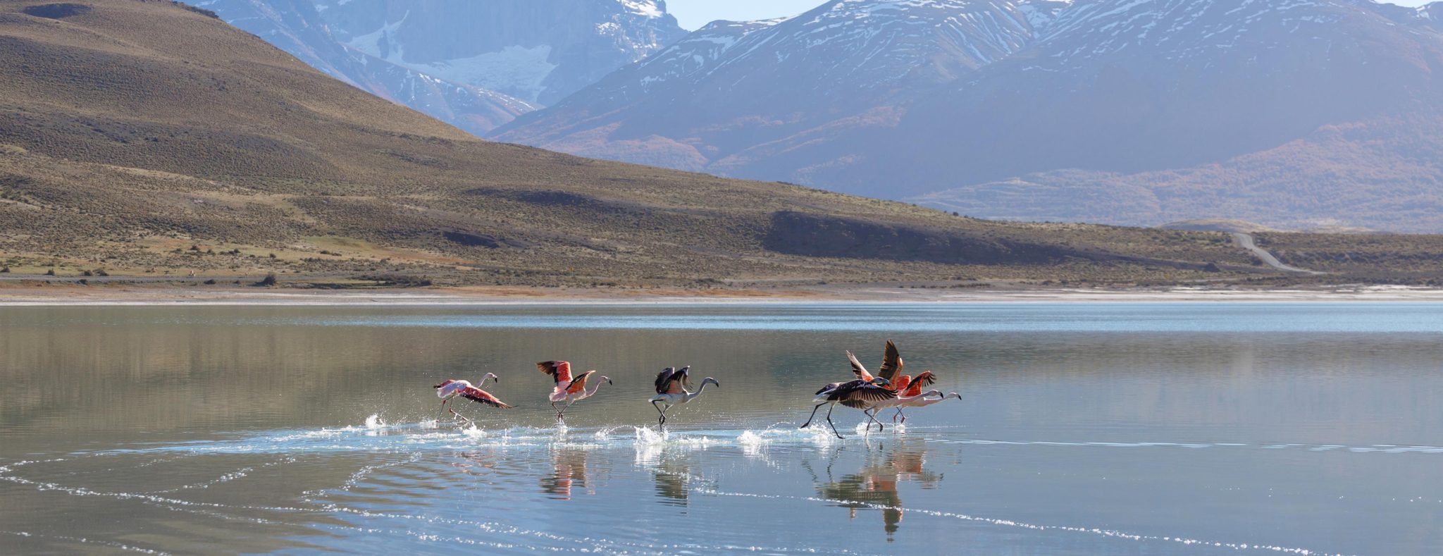 De 5 mooiste nationale parken van Chili
