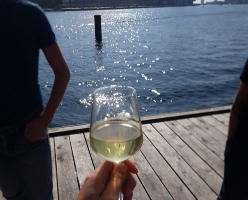 Groenland studiereis idy wijntje