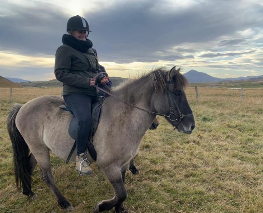 Paardrijden in IJsland