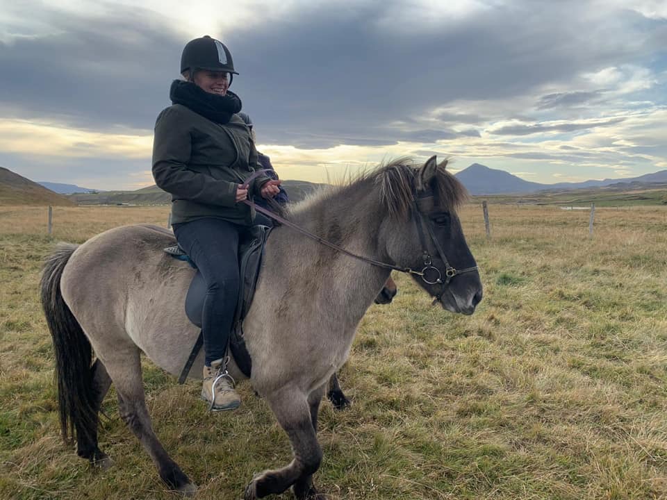 Paardrijden in IJsland