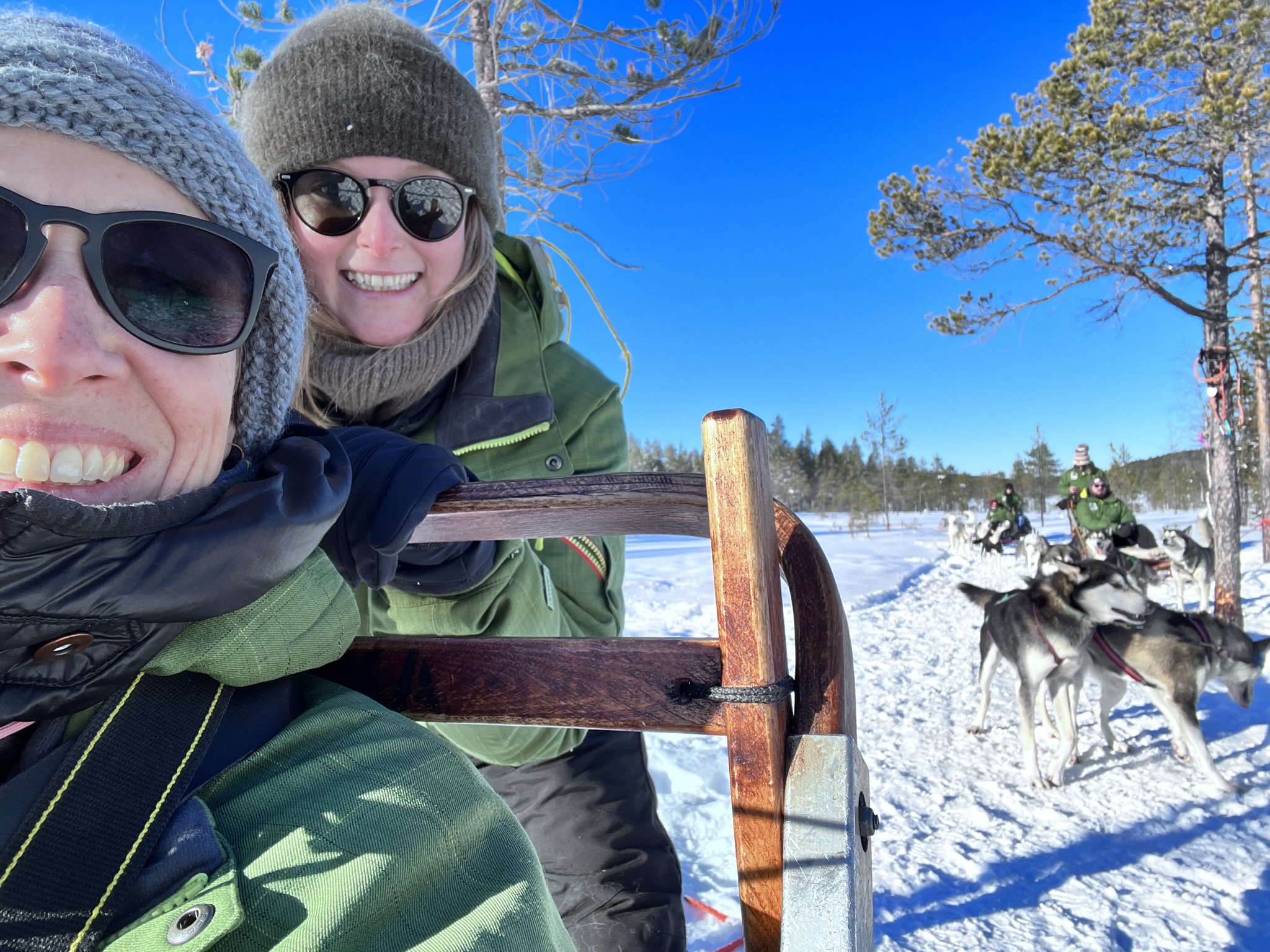 Huskysledetocht in Zweeds Lapland - Spruce Island Husky
