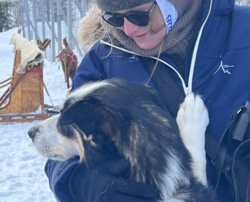 Husky's knuffelen bij Wild Lapland