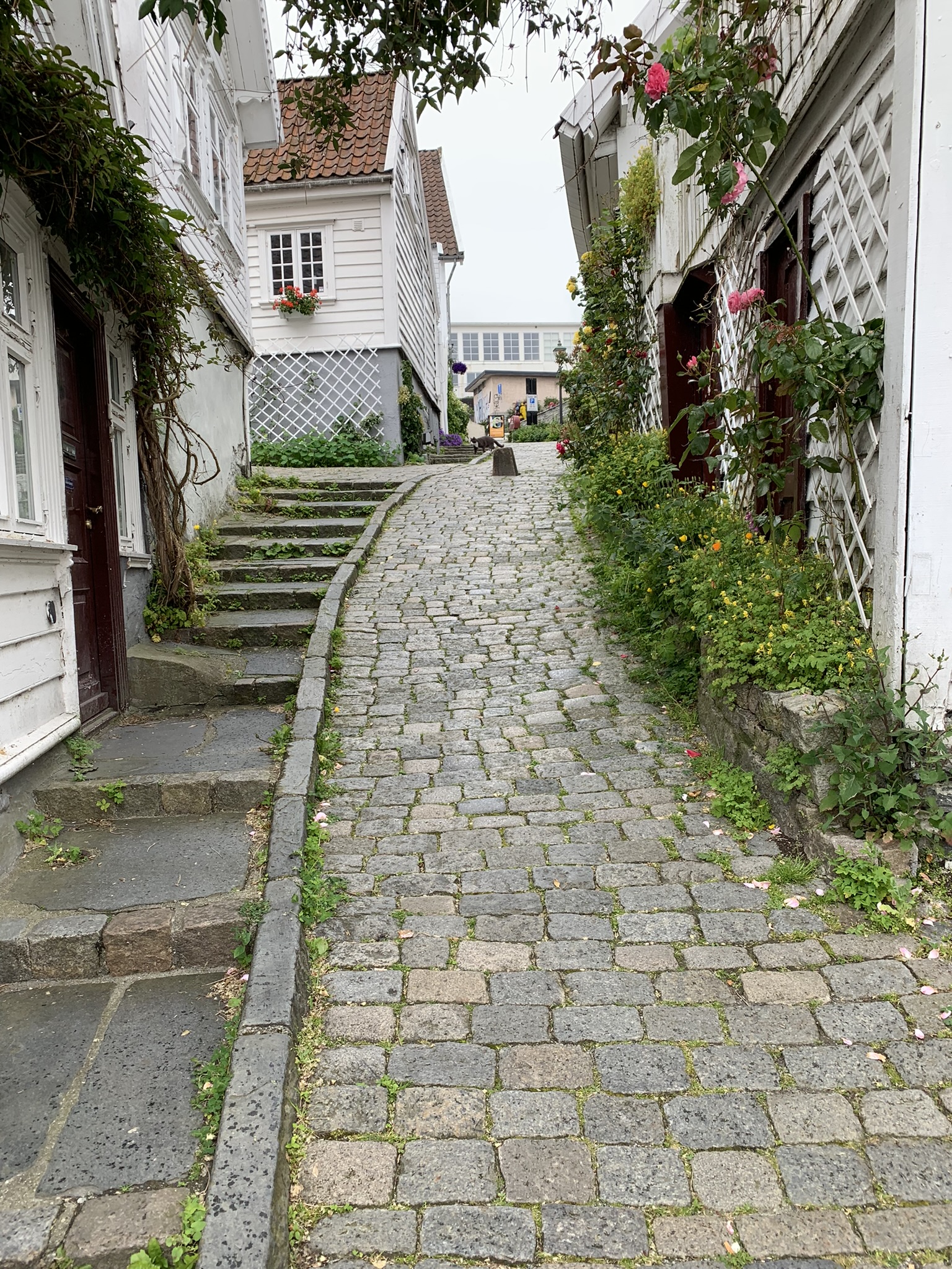 Noorwegen Gamle Stavanger straatje met trap