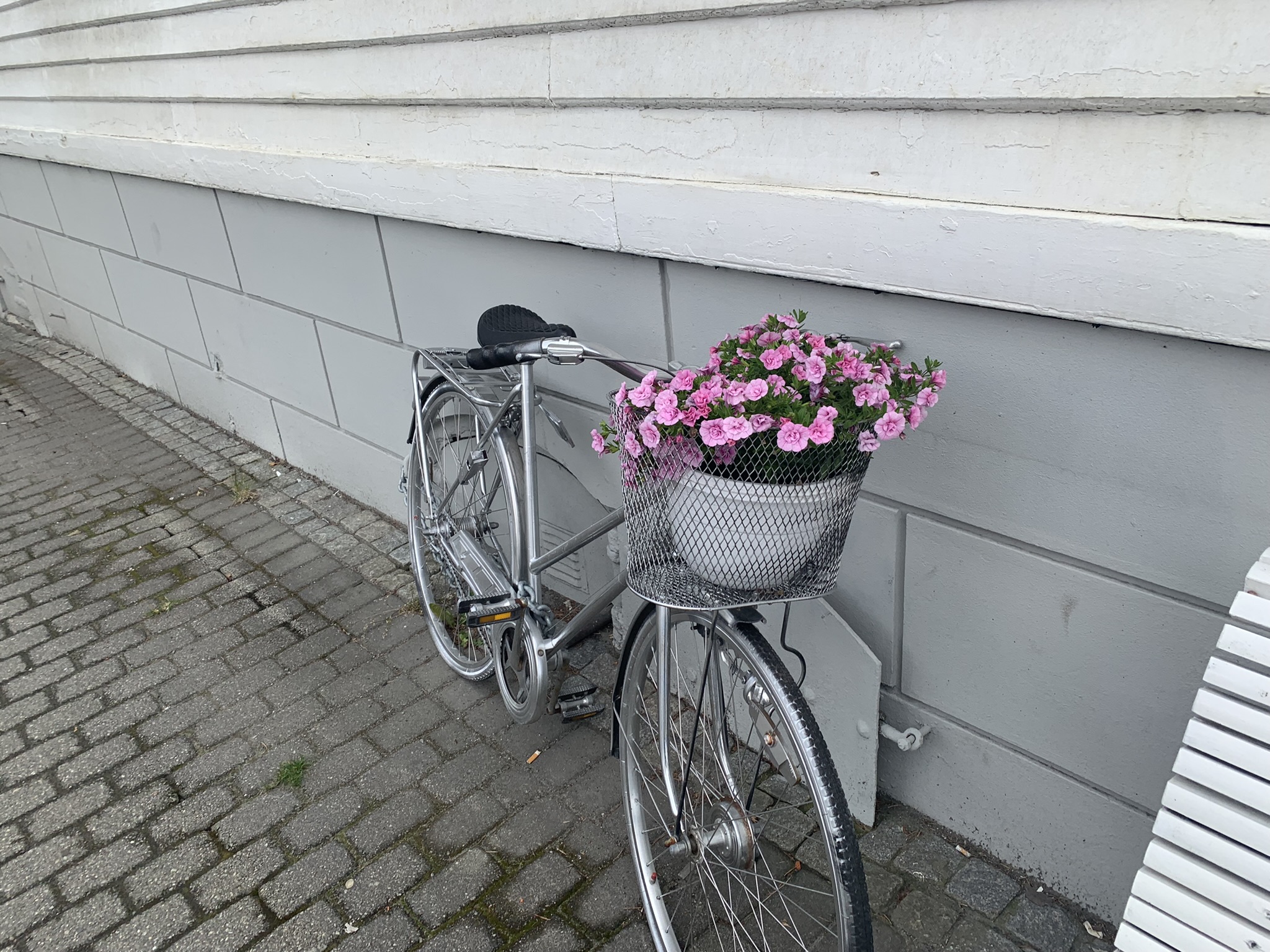Noorwegen flekkefjord fiets met bloemen mandje