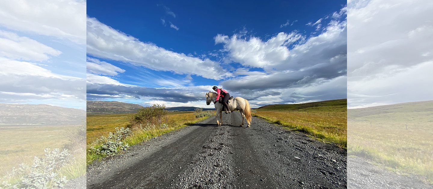 Paardrijdtocht Kjölur, IJsland augustus 2022 - Floor Brouwer - Foto IJsland