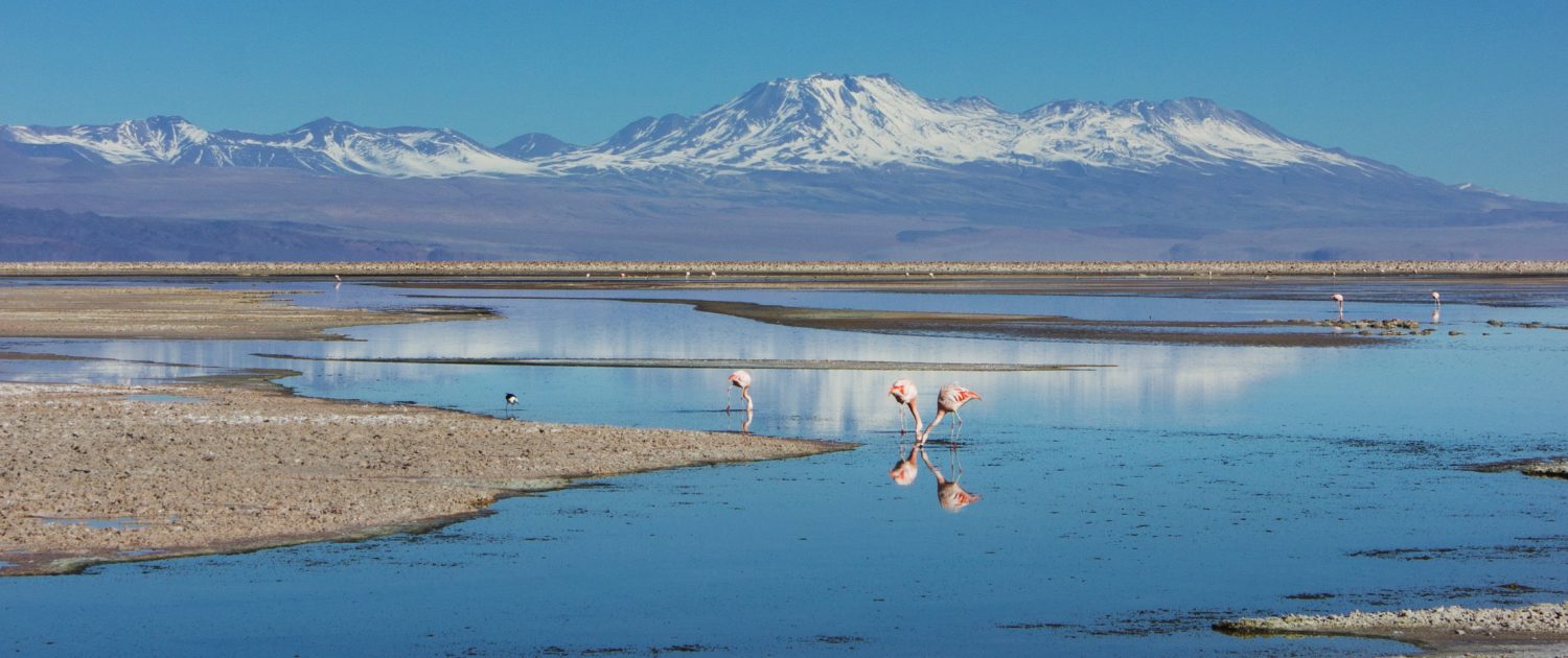 Salar de Atacama Chili