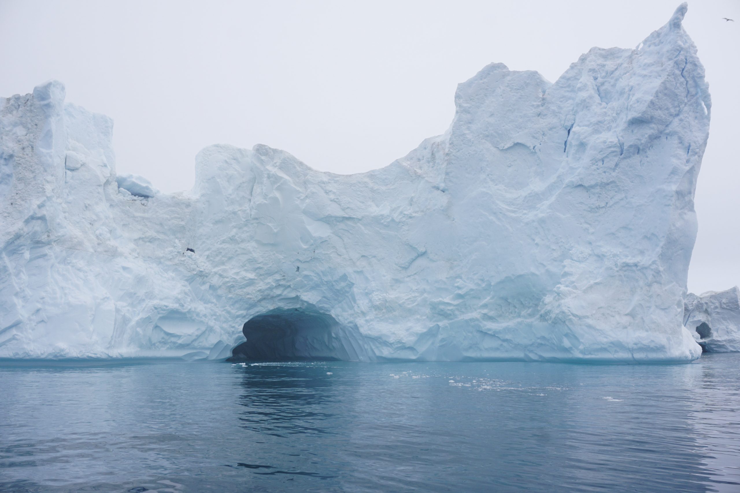 Studiereis Groenland yvonne IJsblok