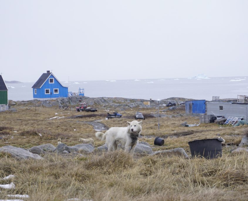 Studiereis Groenland yvonne Ilulissat