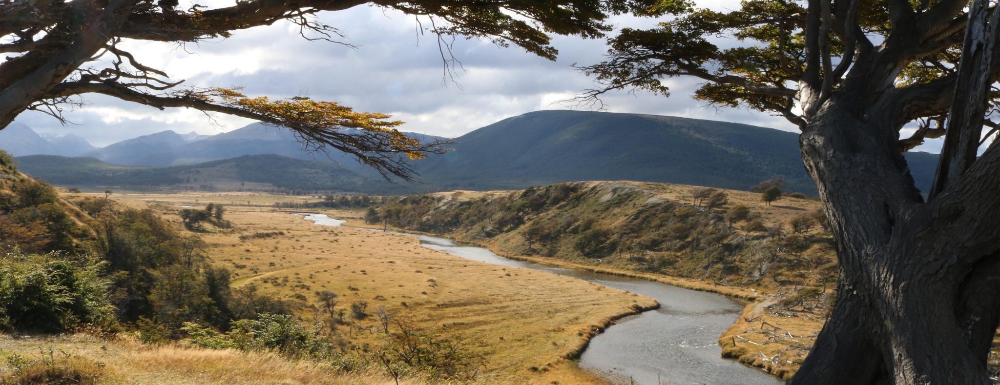 Tierra del Fuego National Park, Argentinië