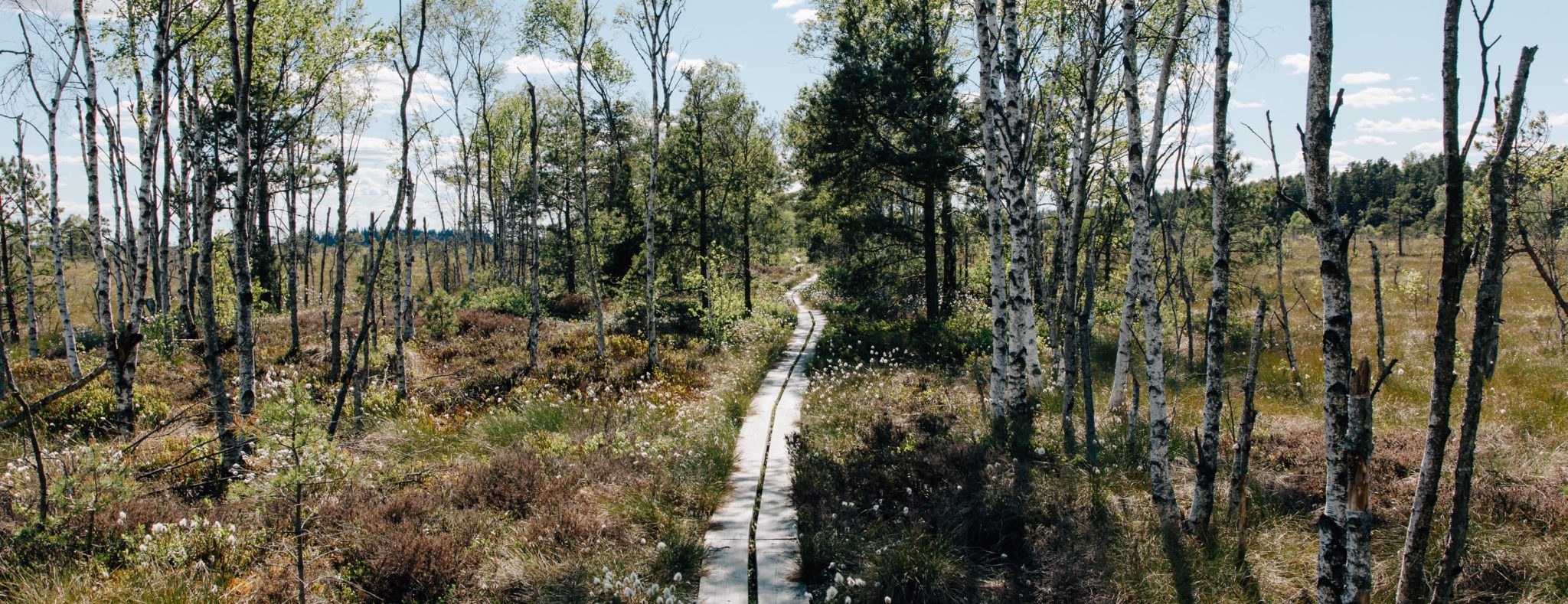 Nationaal park Zweden