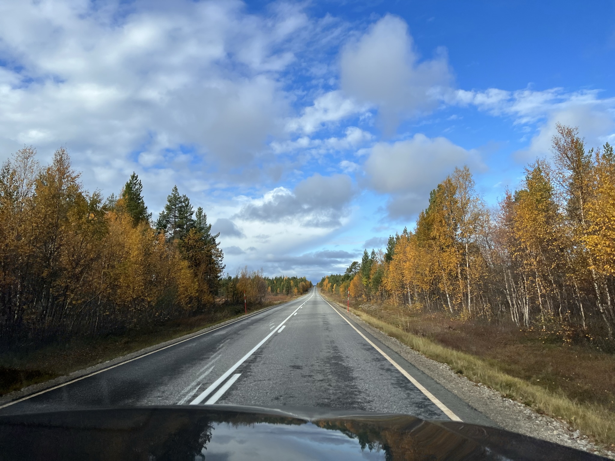 De weg van Inari richting de Noordkaap - Indian Summer - Herfst - Lapland - Kaamanen