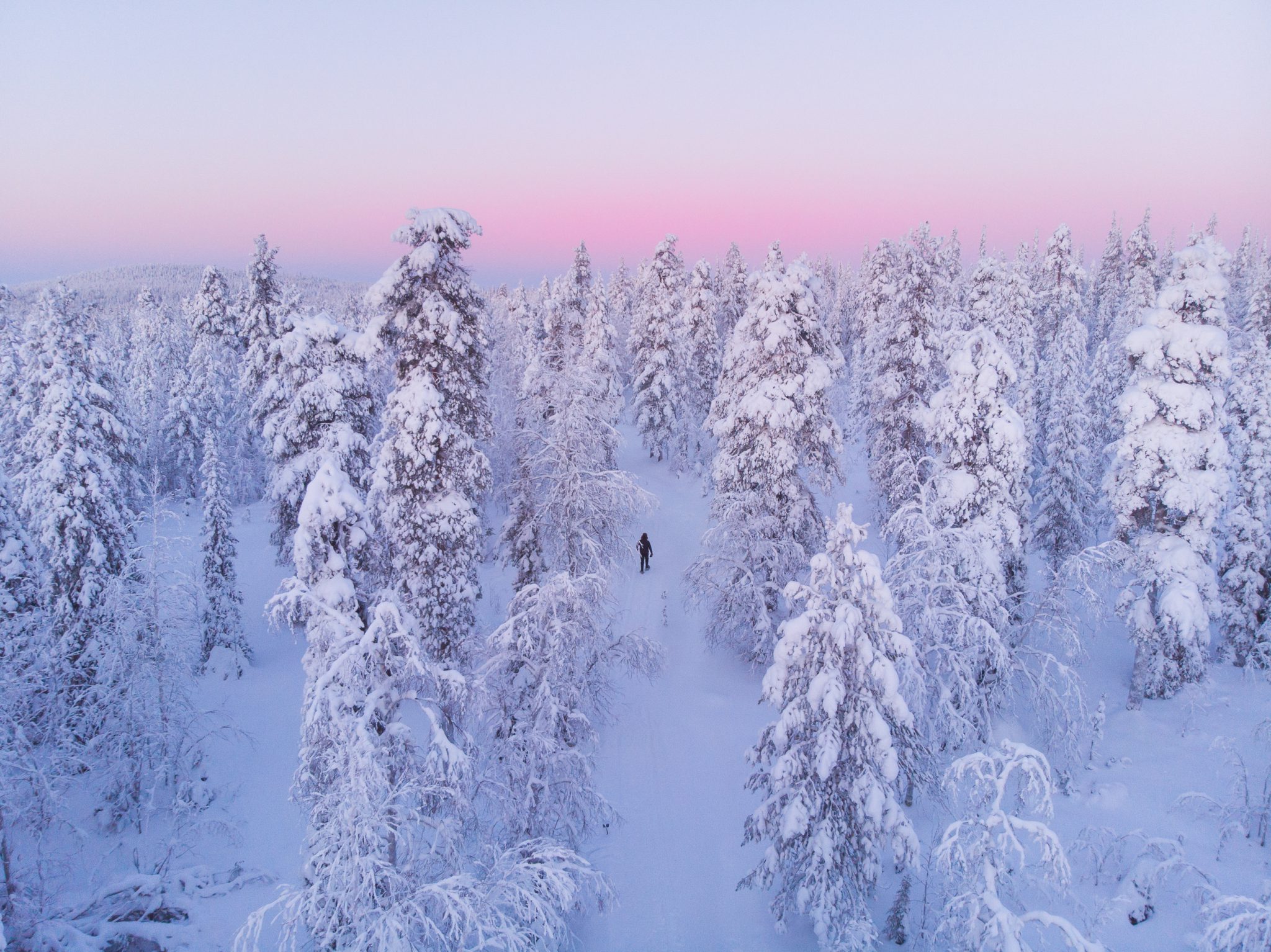 Fins Lapland wintervakantie - roze licht Kaamos