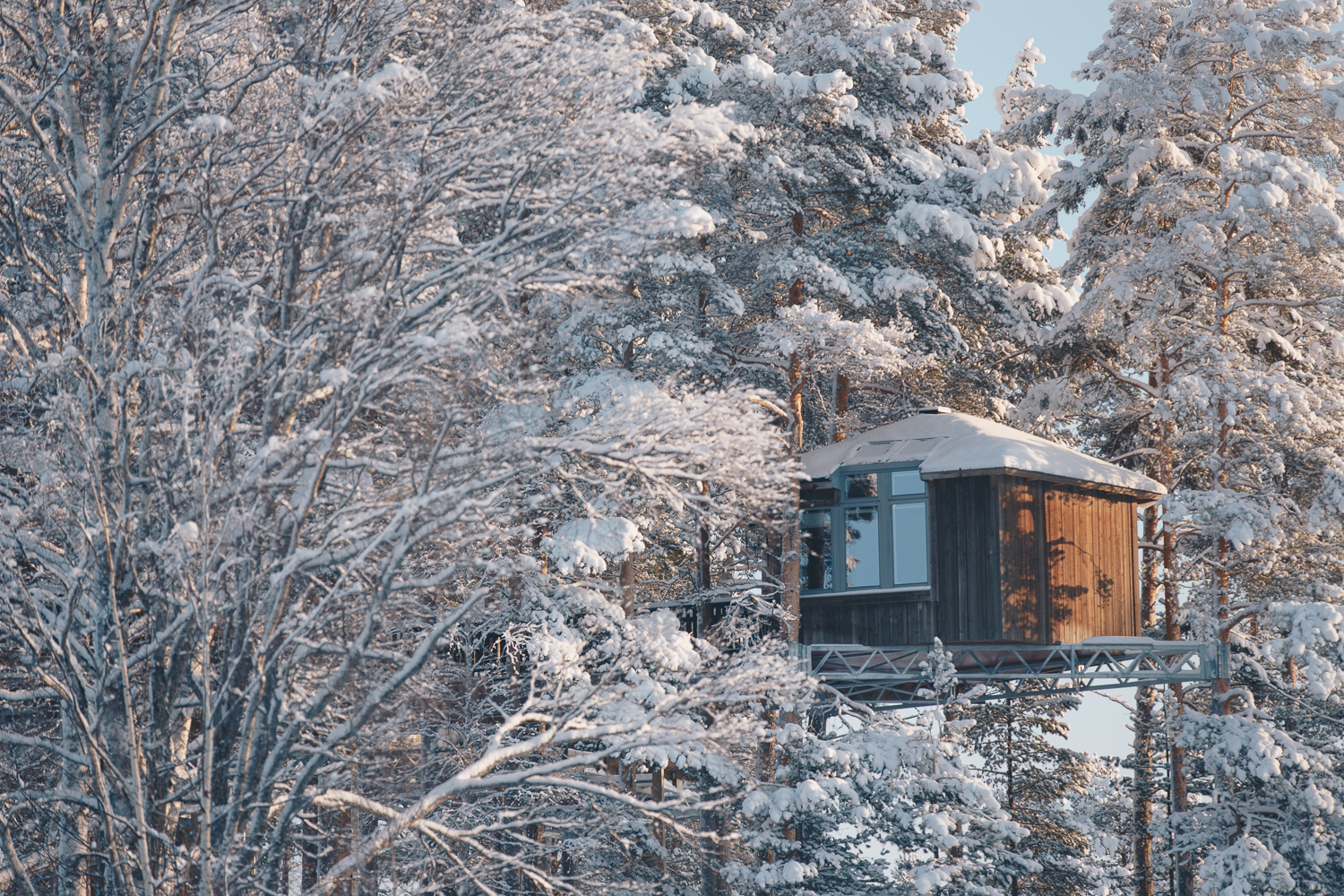 Slapen in een birds nest in Zweeds Lapland - Granö Beckasin