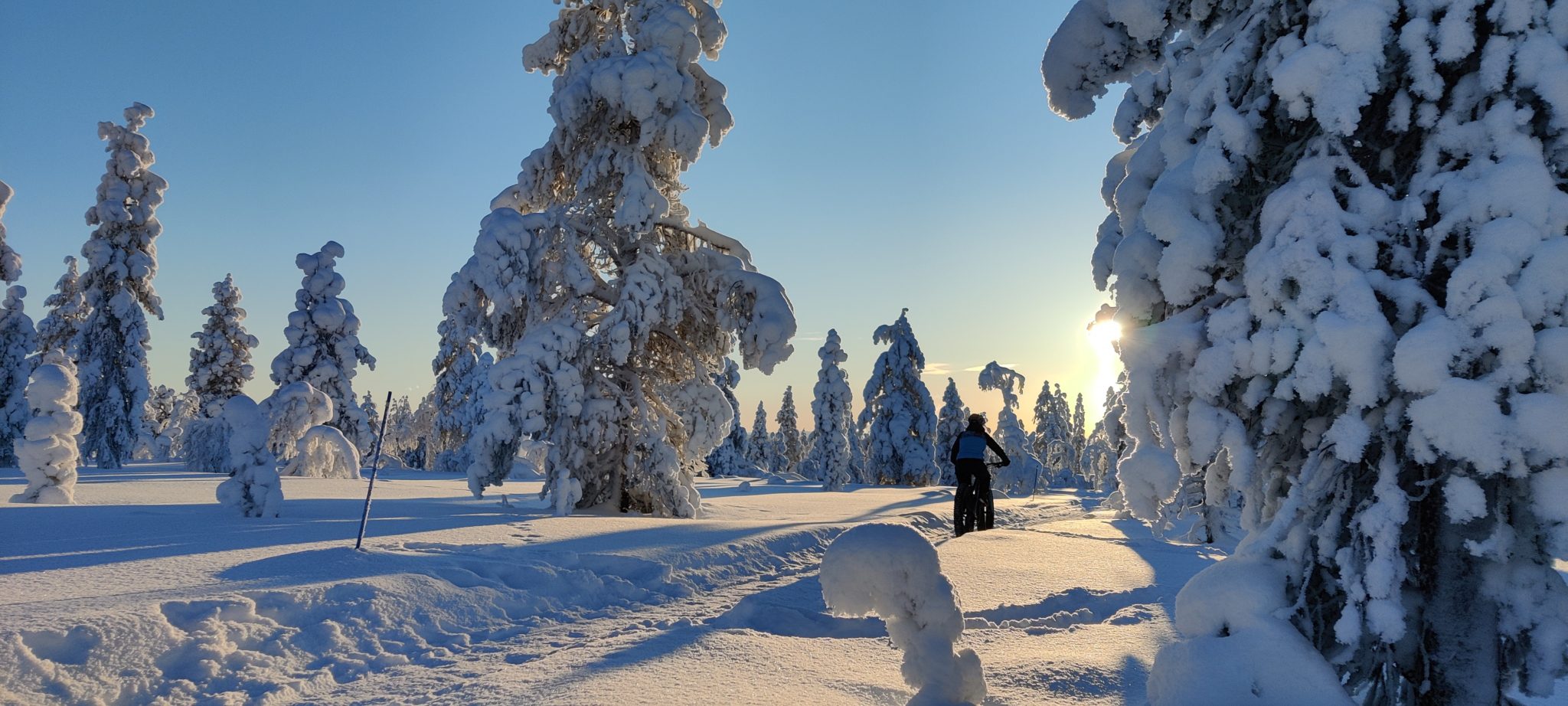 Lapland North -SAARISELKÄ KAUNISPÄÄ mountainbike