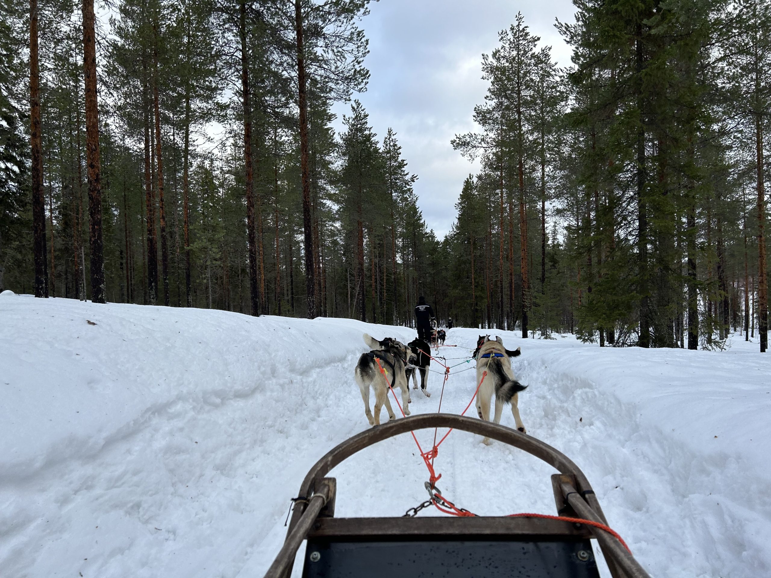 Lapland vakantie Roos en Kaj