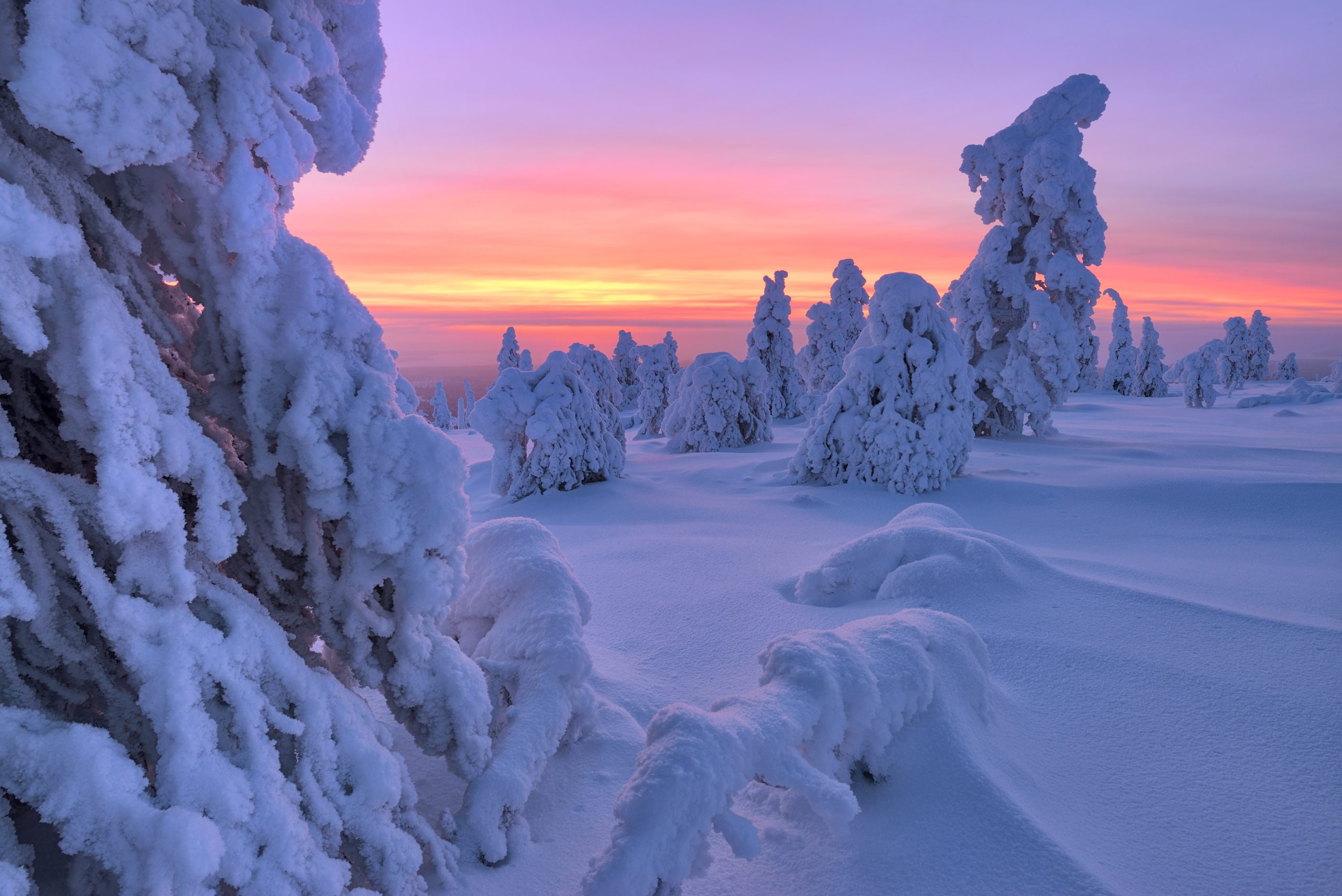 Finland,Riisitunturi,National,Park
