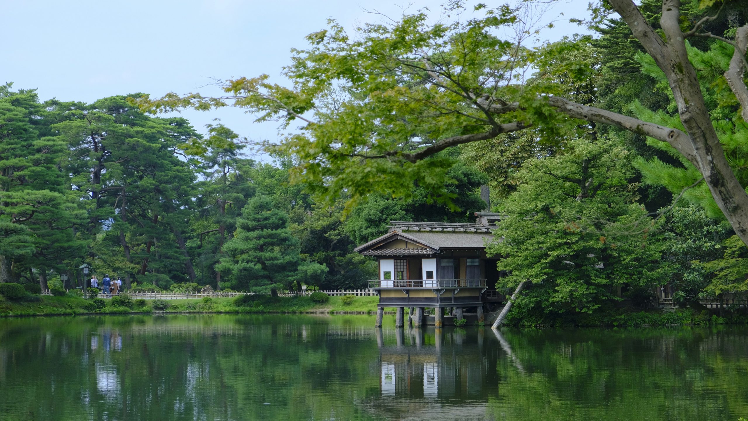 Leo Okuyama - Theeceremonie en Kenrokuen in Kanazawa