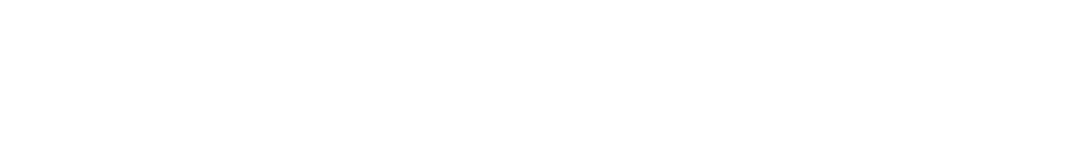 Islandspezialisten
