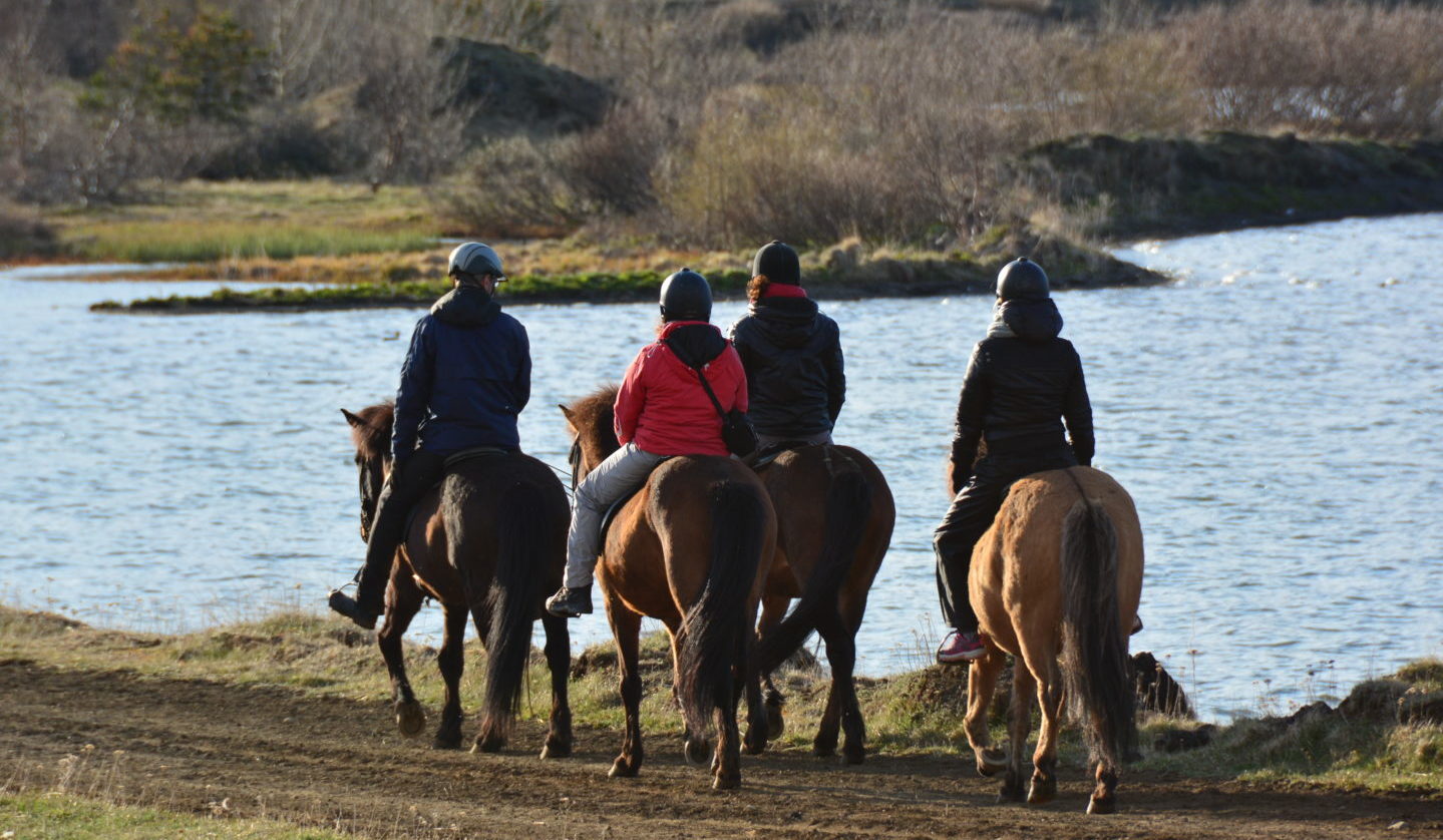 Reiten bei Mývatn