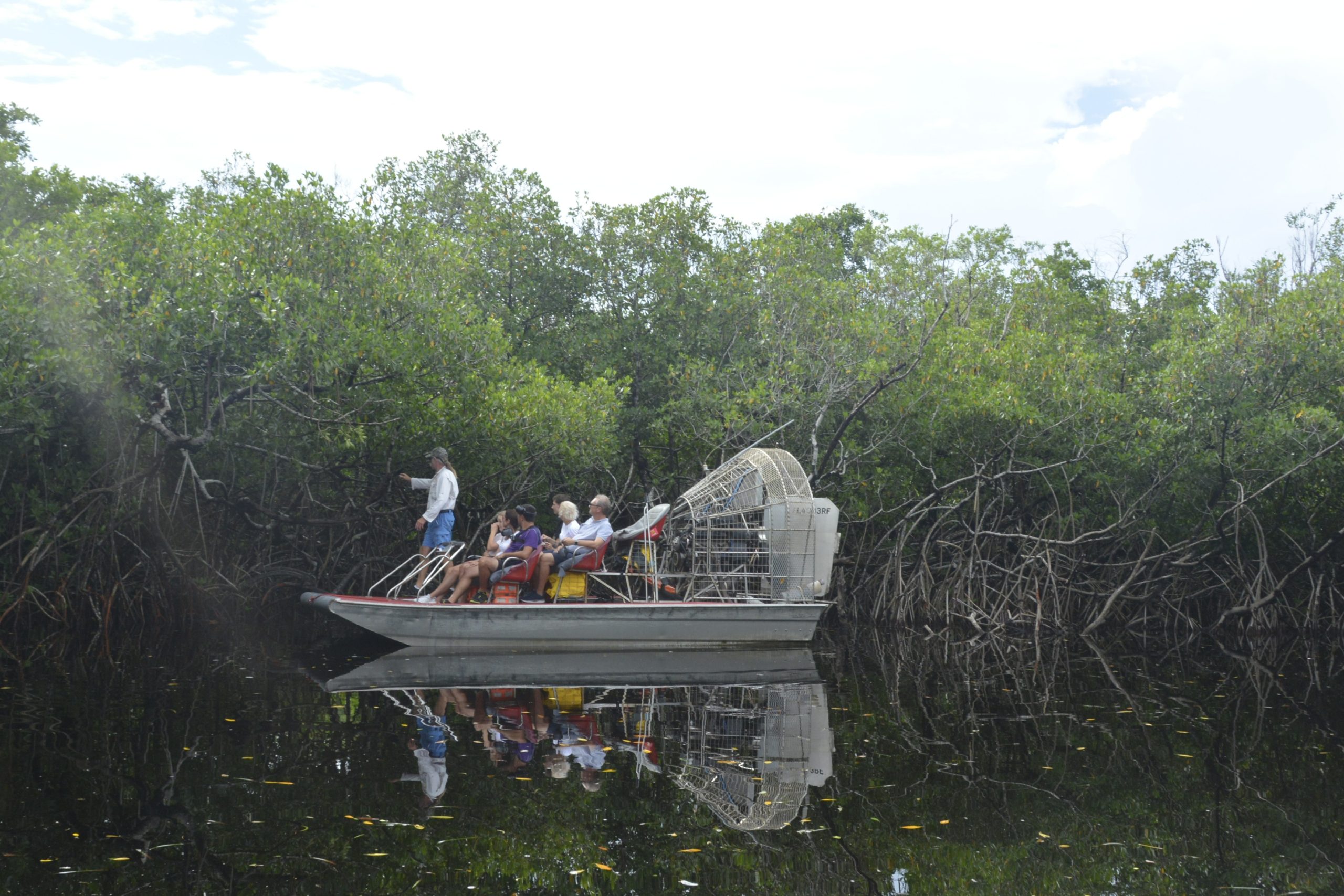 Ultiem Everglades avontuur