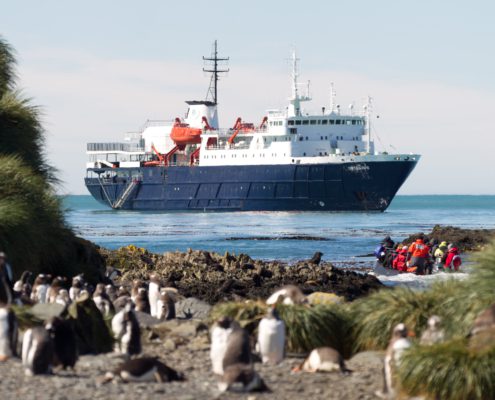 Ortelius, Falkland Islands, South Georgia, Antarctica