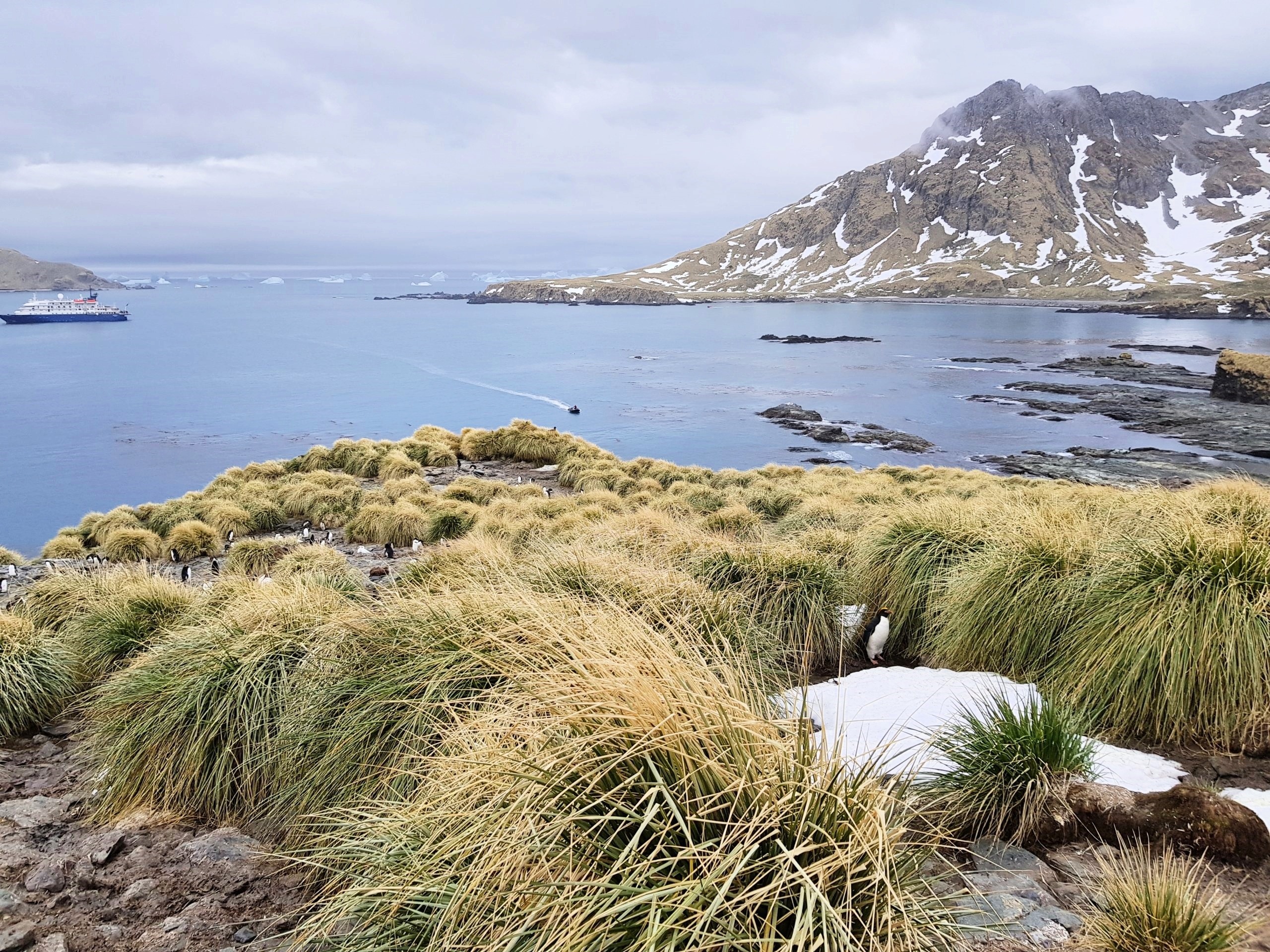South Georgia