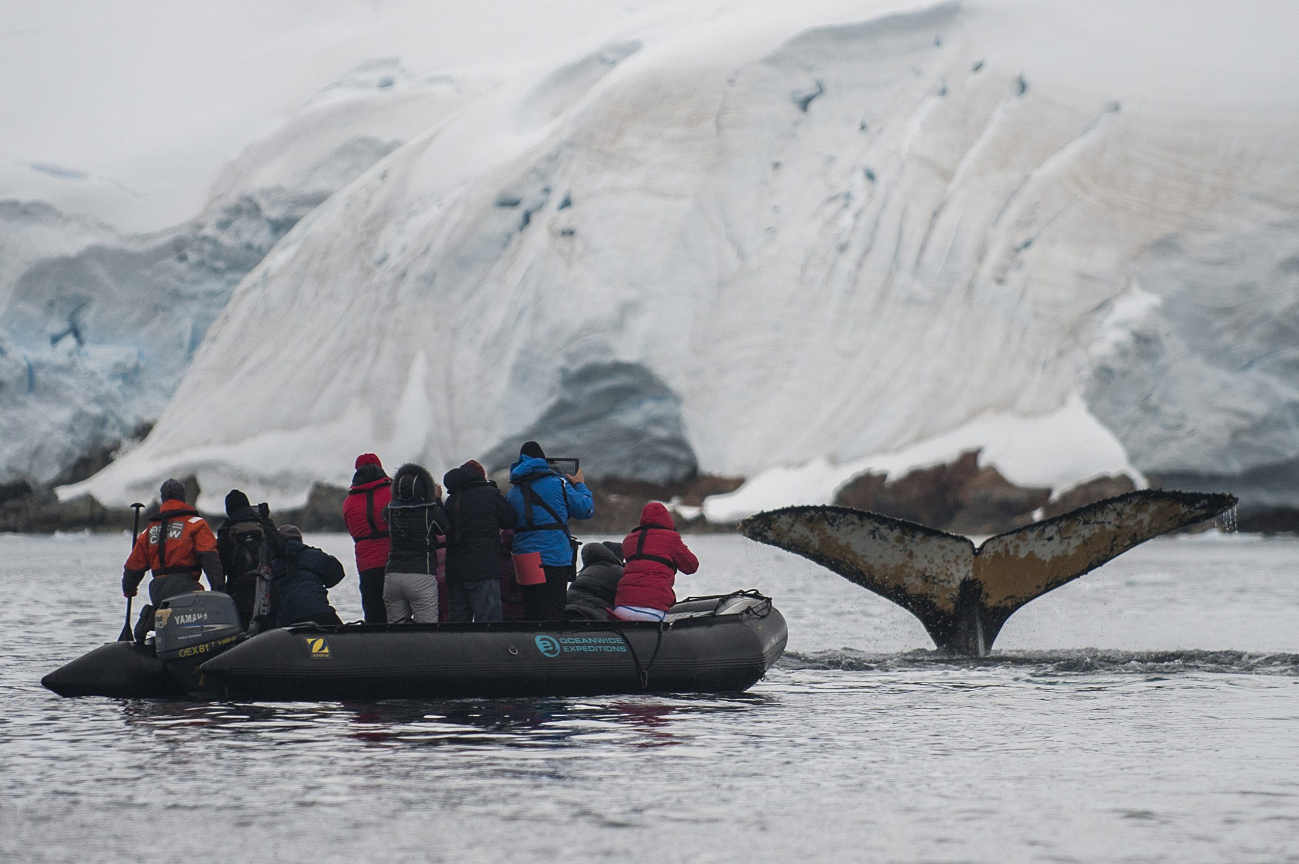 Zuidpool Basecamp Antarctica | 13-daagse reis naar de Zuidpool