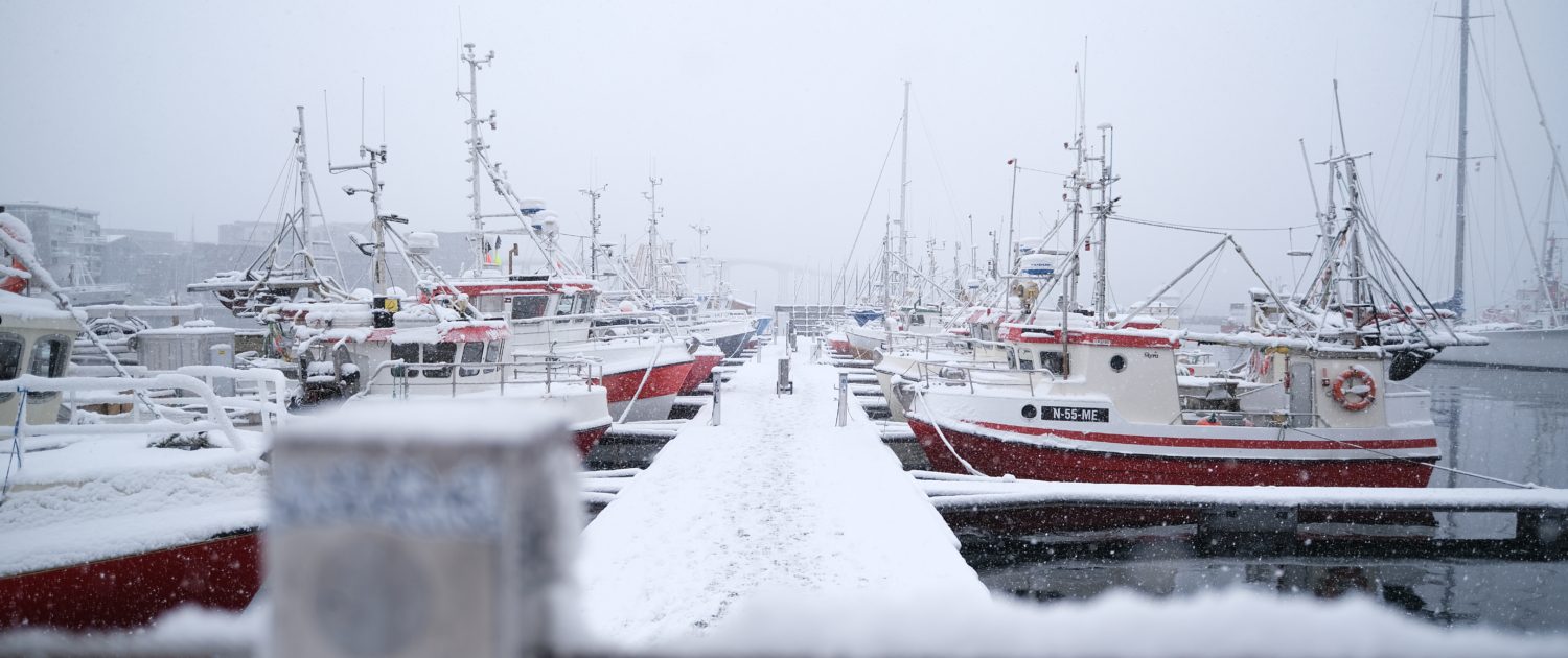 Tromsø, foto: Nyncke Ernst Tromsø, foto: Nyncke Ernst