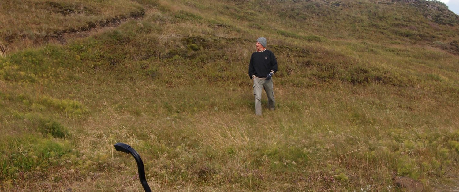 Golfen IJsland | IJslandspecialist