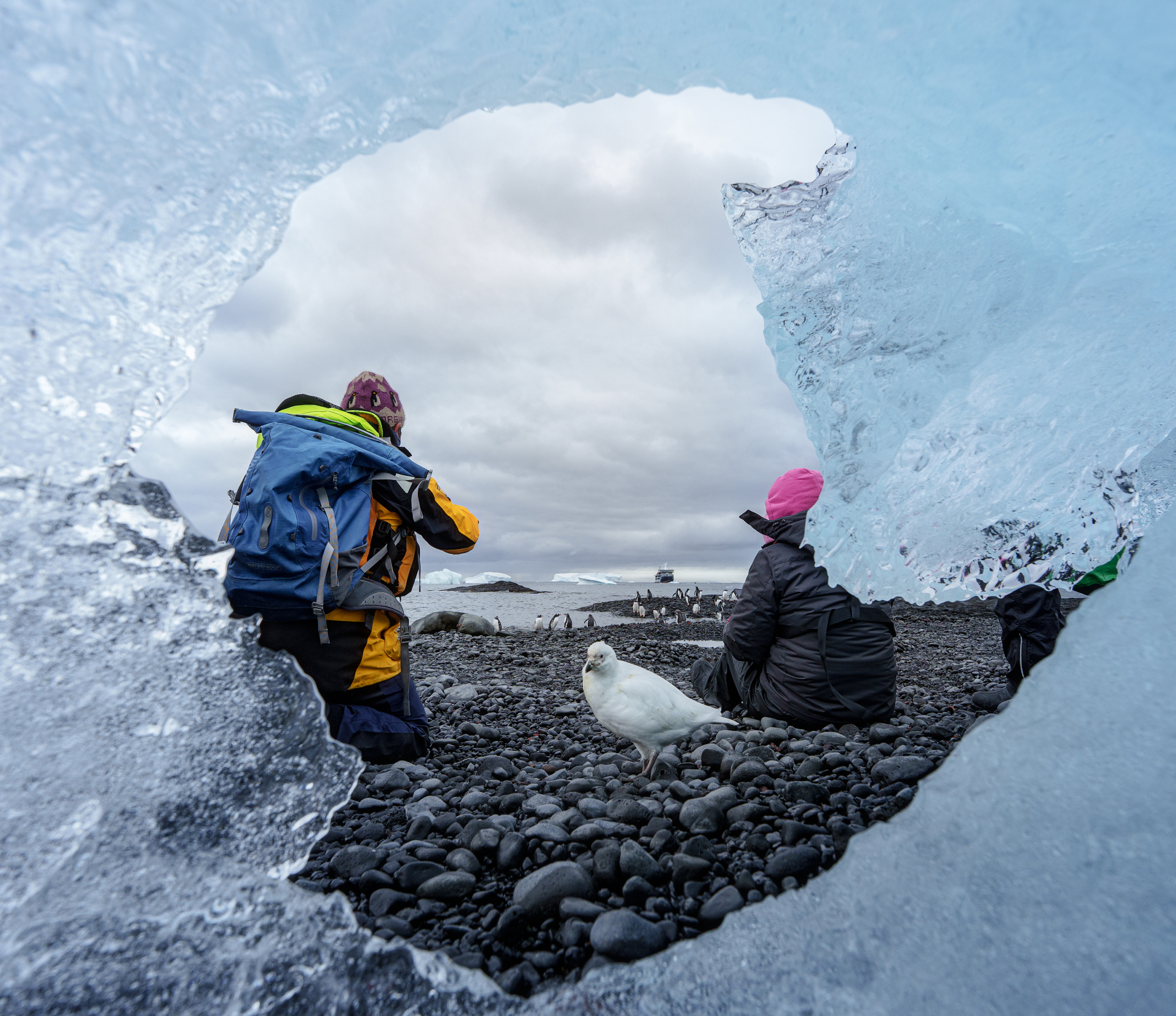 Aan wal wildlife fotograferen