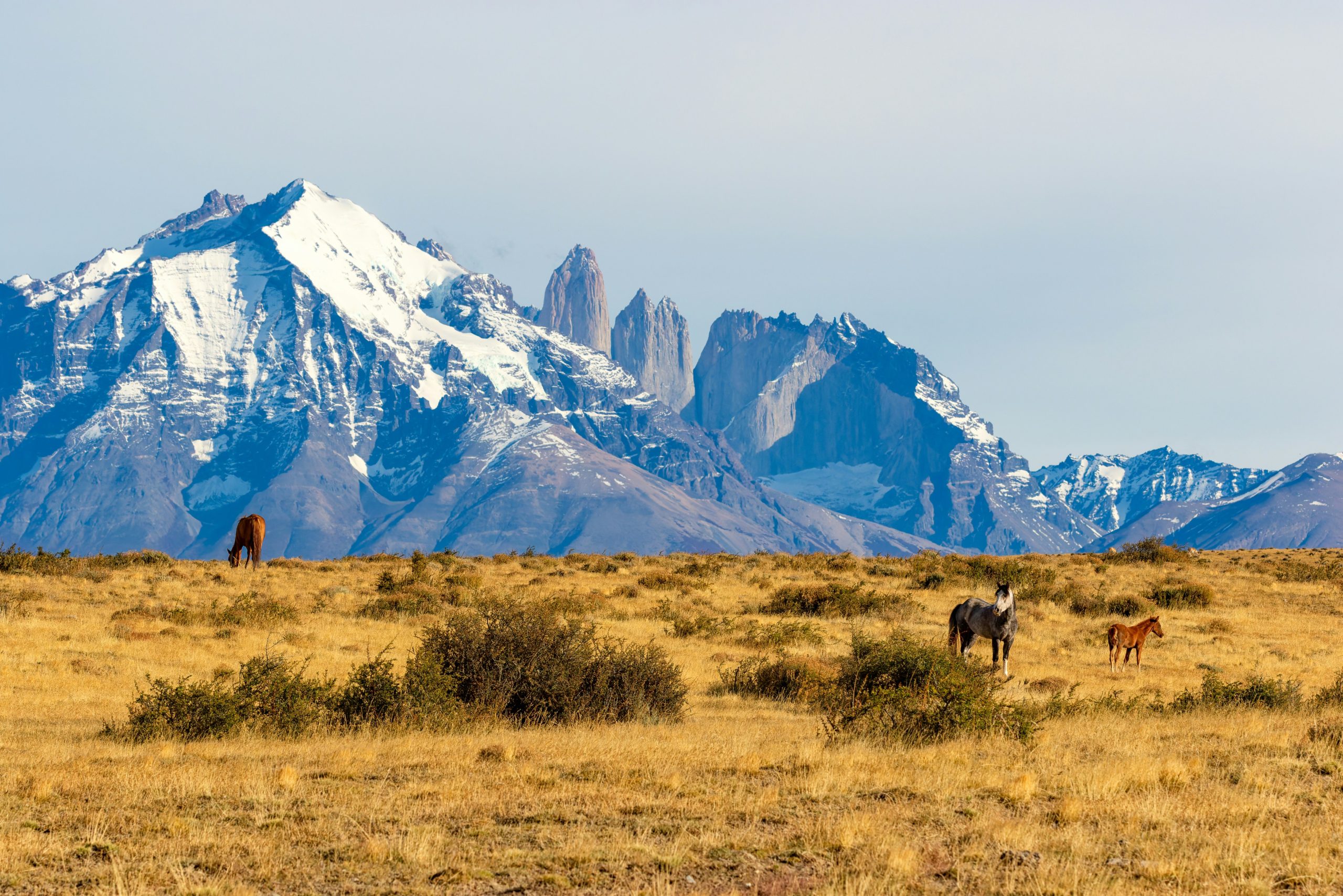 Torres del Paine