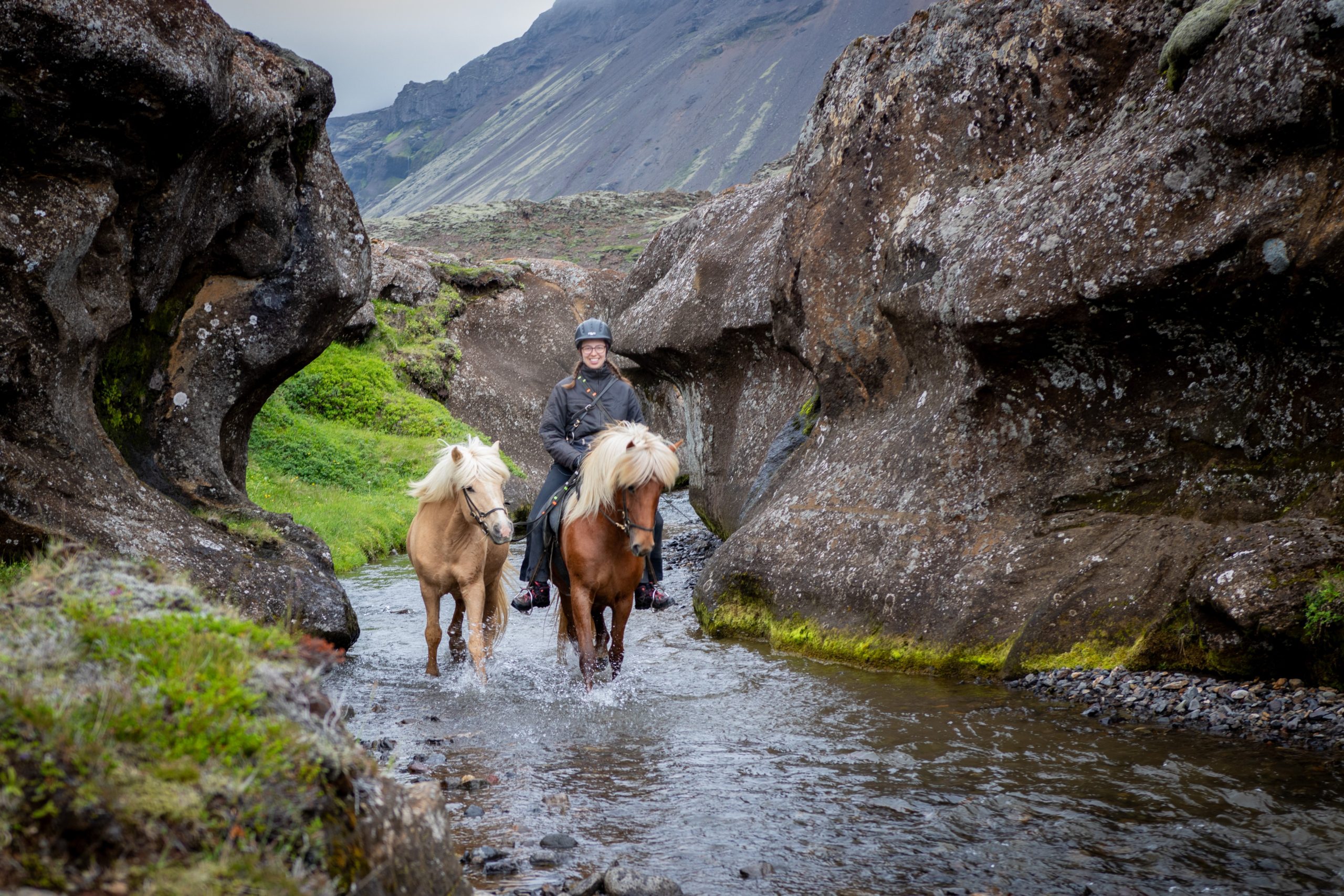 The Valley of Horses