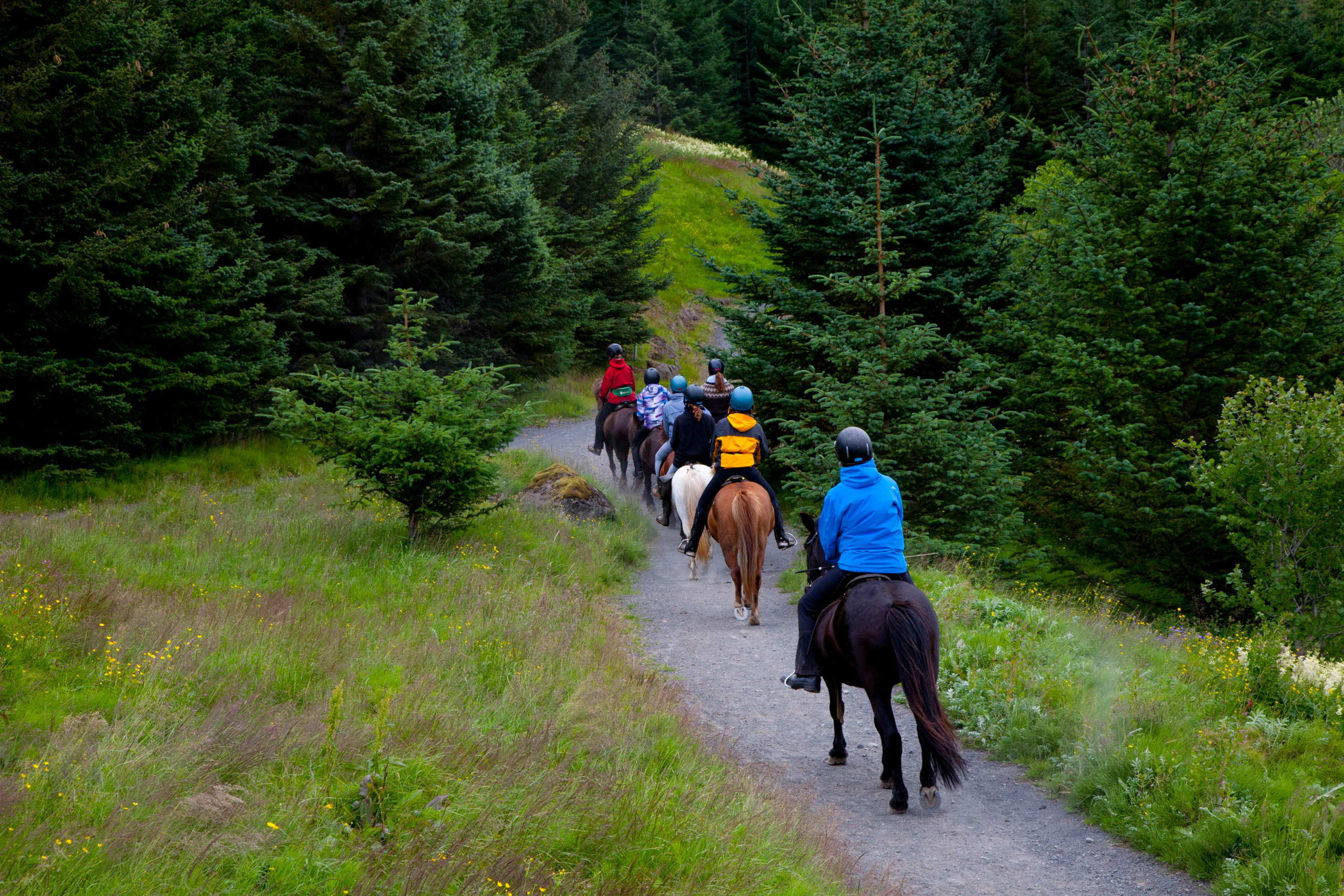 Riding & Relaxation