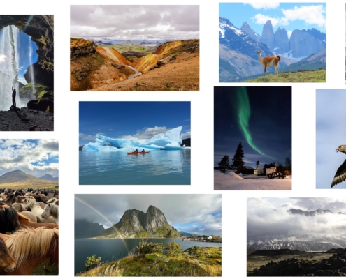 Winnaars fotowedstrijd 2025